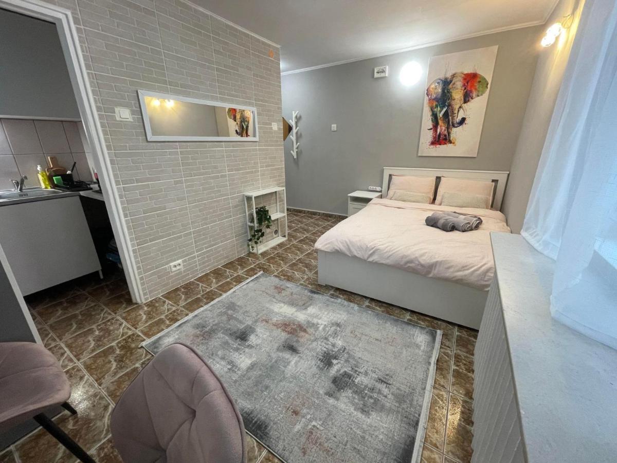 One Room Apartment Decebal ブカレスト エクステリア 写真