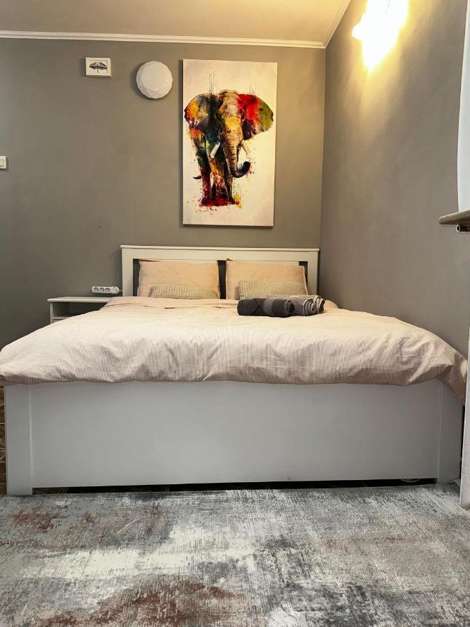 One Room Apartment Decebal ブカレスト エクステリア 写真